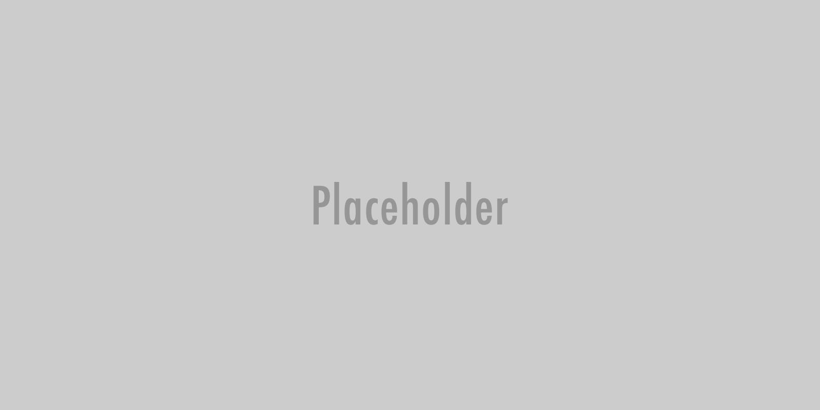 Woo Logo - Image 2